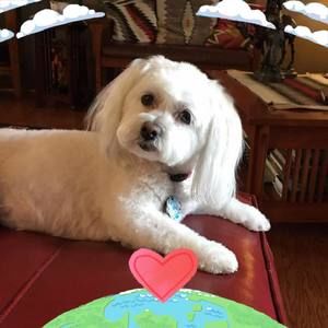 Meet your Posher, Sally